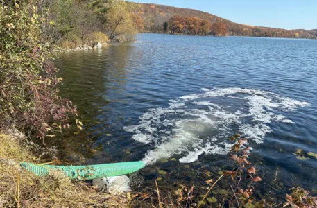 Walleye stocking continues at Lake Antoine, Carney Lake